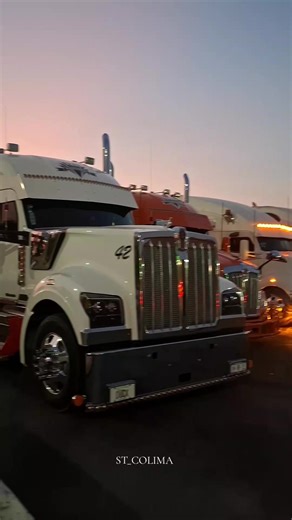 Descubre los Autotransportes Sánchez en Colima