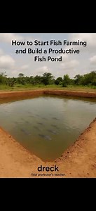 14K views · 79 reactions | How to Start Fish Farming and Build a...
