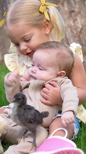 Farm Family Adventure: Finding Baby Chicks