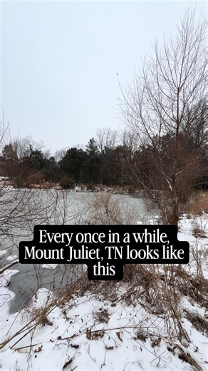 Discover the Beauty of Living in Mt. Juliet, Tennessee