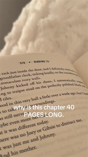 Exploring the Length of Chapter 40 in Boy of Tommen