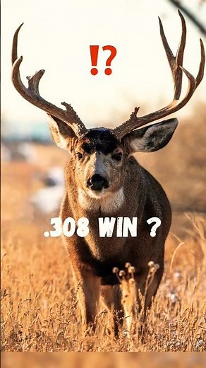 Best Deer Hunting Calibers Ranked