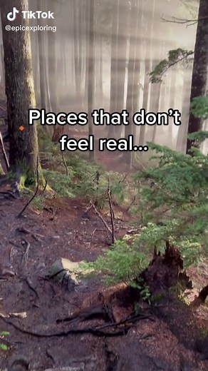 Epic Exploring (@epicexploring)s videor med Let go - ° ｡ﾟ ﾟ･｡ ﾟﾟ