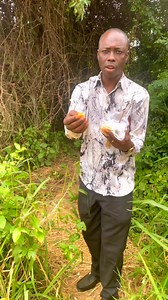 27K views · 479 reactions | See what my lovely husband got for me from the bush. Am staying in Mepe  | Midwife Sally | Facebook