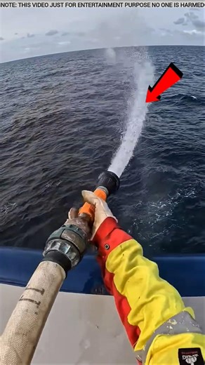 water cannon 😱 #facts #shorts