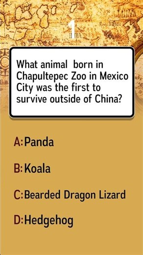 Which animal born in Chapultepec Zoo was the first to survive outside China?