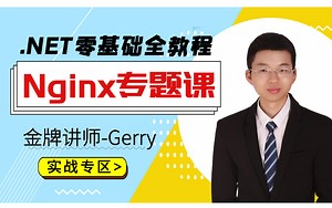 C# .NET Core/.NET6/.NET5零基础实战教程(Nginx动态分离配置/双机主备架构落实实战/企业级优化实战/底层原理/项目搭建) B0429