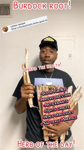 2.5K reactions · 98 comments | Burdock root樂 #burdock #wellness #knowledge #health #detox #herbs #disease #roots | Dre TheHealer Threesixnine | Facebook