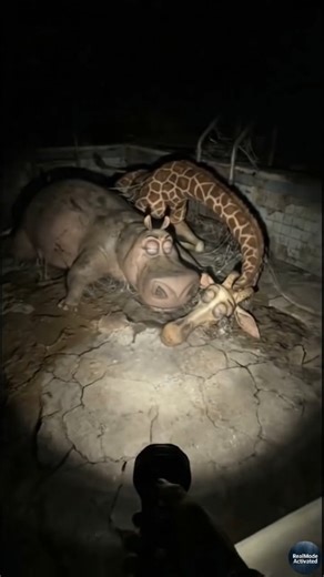 RealModeActivated on Instagram: "they came back… but the zoo was already gone and i was the only one left… to find them 🦛🦒🦓🦁 💔"