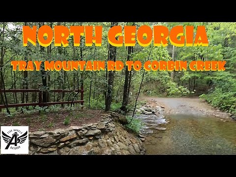 Overlanding Georgia | Chattahoochee-Oconee National Forest | Tray Mountain Road | Creekside Campsite
