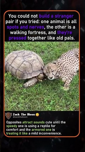 WHEN SPEED MEETS ARMOR