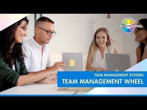 Unlock productivity with the Team Management Wheel | Team Management Systems posted on the topic | LinkedIn