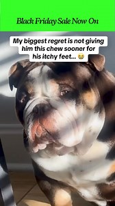 Target seasonal allergies and skin troubles this Black Friday with our best-selling Allergy & Immune Chews! Our Allergy & Immune Chews help support your pup’s seasonal itch and promote calm, healthy skin - now part of our Black Friday Sale! ✔️ Secure 50% OFF! 📦 FREE expedited delivery ⏯️ Easy pause, skip or cancel anytime 👉 Claim your offer below! | PetLab Co.