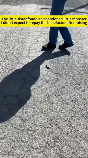 Caring for a Baby Mouse: Monster's Journey to Freedom