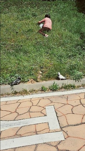 할머니 경호원
