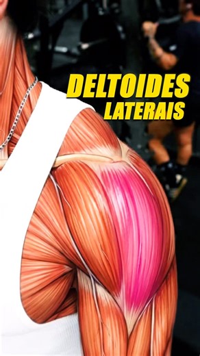 Breno Aceti on Instagram: "🚨 Treine OMBRO 30 min com HALTER ✅😎 Sabia que você consegue treinar seus ombros (deltoide lateral, frontal e posterior e trapézios) só usando Halteres? E ainda treina em 30 minutos 🤯 ✅Curtiu o vídeo? Segue o perfil pra mais! ❤️ 👉 USE o cupom 🏷️ ACETI : @maxtitaniumsuplementos @berzerk.club 🚨 ACOMPANHAMENTO DE TREINO E DIETA : Link na Bio 📘 Aviso: 👉Este post é educacional. 👉A prescrição individualizada de treinos e dietas é feita pelo meu time técnico (CREF e C