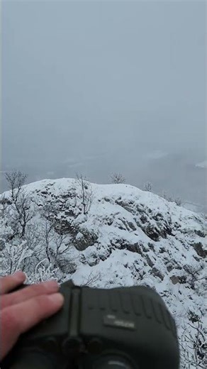 Steiner Military 7x50 Ostrvica, Serbia