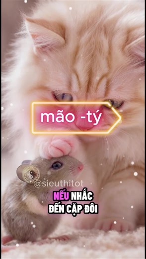 Khám Phá Phong Thủy Tử Vi 12 Con Giáp: Mão và Tý