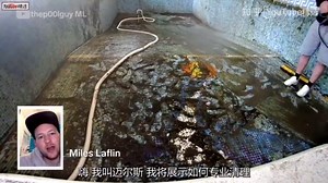 职业泳池清理小哥靠清理室内游泳池，竟获得1200万粉丝