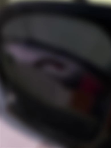 Goldstar Elite Toronto (@goldstarelitetoronto)’s videos with original sound - MJ Only