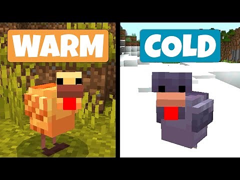 New Chicken Variants EXPLAINED: Everything You Need to Know | Minecraft Preview 1.21.70.22