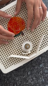 3.7K views · 23 reactions | Here’s @emmasglasscrafts with our...