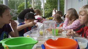 Finland's program seems like a good model to follow. | Ashton Kutcher