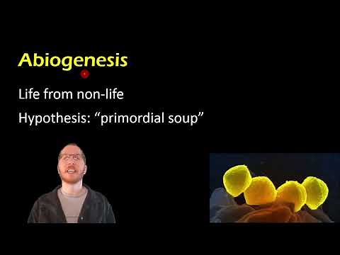 Biology: Spontaneous Generation vs Biogenesis