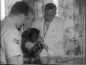 Chimp into space (no title), 1961/11/30 : Free Download, Borrow, and Streaming : Internet Archive