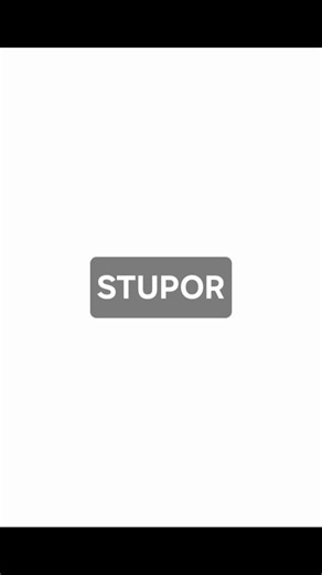 stupor means