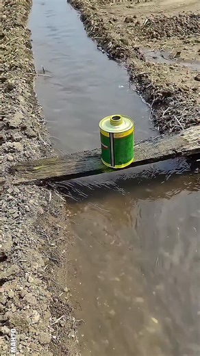 HR MAHTO on Instagram: "This Is How Farmers Apply Pesticides Without Machines . . . #facts #farming #india #reels #reelsinstagram"