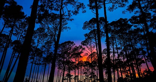 El último informe del IPCC: ¿Qué es y por qué es importante?