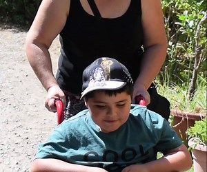 312K views · 2.8K reactions | Junto con la Fundación Make a Wish nos unimos para hacer realidad el sueño del pequeño Cristobal: ¡Abrazar muchos cachorros! ❤ | Pedigree Chile | Facebook