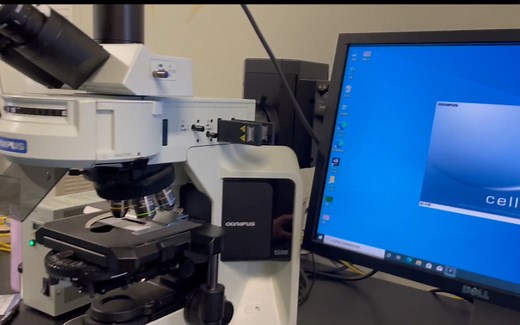 Olympus正置荧光显微镜使用教程