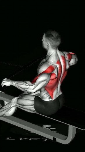 Seated Wide-grip Row Tutorial: Strengthen Your Back Muscles