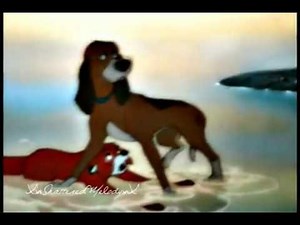 ●[ Broken // Animash ]●