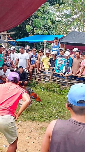 Puslan man #fbreels2025ツ #everyoneシ゚ #everyonefollowers #fypchallenge Ligwati kol... | Alven Alabastro