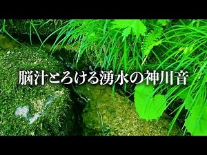 When you can't sleep, listen to the sound of a spring river deep in the mountains.