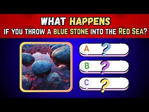 Common Sense vs Intelligence | 30 Simple Questions 90% Fail | @PlayyPatch