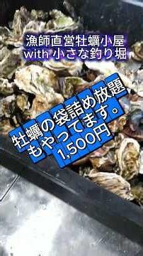 【1500円】21万回再生のキモ生物動画で話題の通販牡蠣がお店でまさかの「袋詰め放題」に！実は1個じゃない！？双子や多数くっついてる秘密を知ってほしい！ご予約不要・お持ち帰り限定企画【松島牡蠣屋】