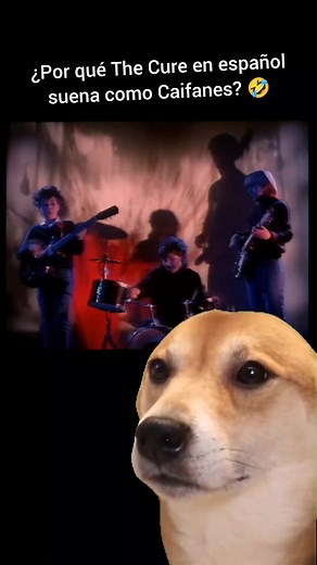 Alien Punk Récords! on TikTok