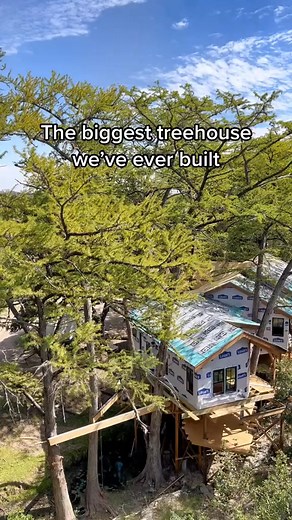 Biggest treehouse we’ve ever built 💪 #nelsontreehouse #treehousemasters #treehouse #treehousebuilding #carpentry #construction #building #architecture #tree #uniquebuild #big #luxurytreehouse #texas #mansion | Nelson Treehouse