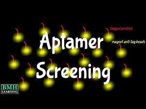 Aptamer Screening | Selection & Enrichment Of Aptamers |