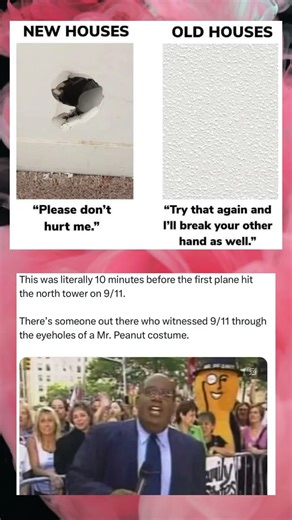 🏚️ Old Houses vs New Houses – Meme Comparison