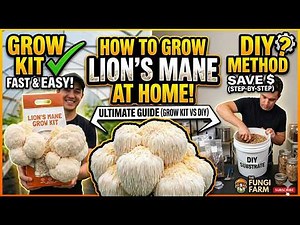 How to Grow Lion’s Mane Mushrooms at Home: The Ultimate Guide (Grow Kit vs. DIY) ‪@TFF365‬