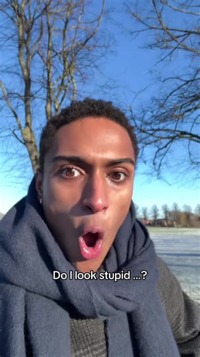 Small Dog Antics: The Hilarious Moments Captured