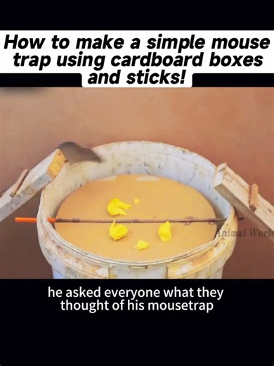 1.5K views | Learn how to create a DIY mouse trap with cardboard boxes and sticks! #DIY #mousetrap #rodents #tutorial #crafty #fyp #fy #viral | The Rike | Facebook