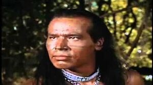 DAVY CROCKETT ** Indian Fighter ** 4-4