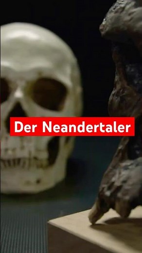 Neandertaler - Die faszinierenden Urmenschen