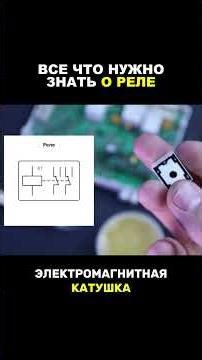 Всё, что нужно знать о реле